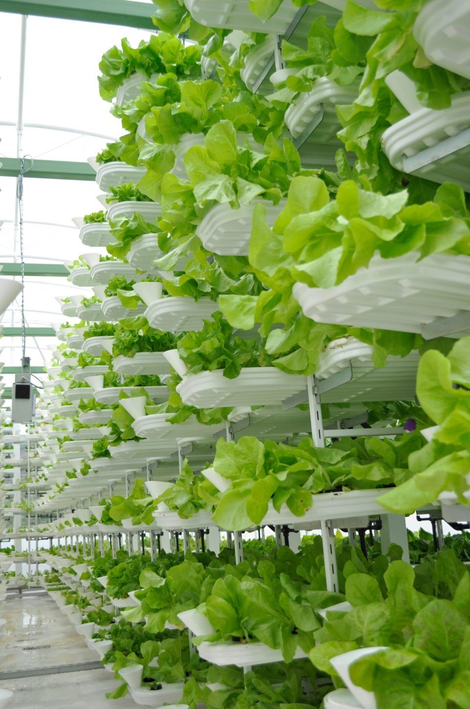 Sustainable new innovations - vertical farming