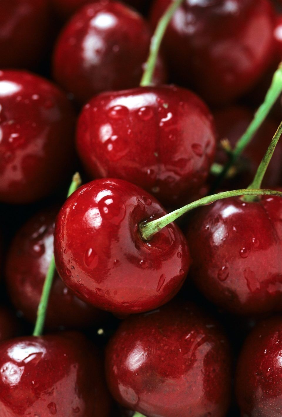 How to eat sustainably on a budget?