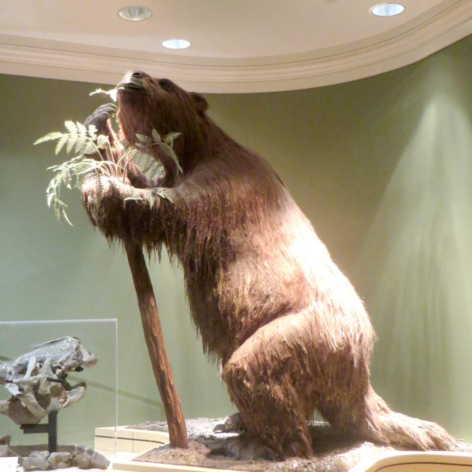 Giant ground sloths of the ice age - Image via Eden, Janine and Jim on Flickr